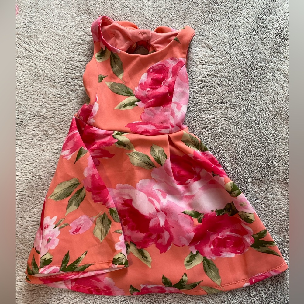 Iris & Ivy Pink and Green Floral Dress